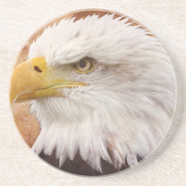 Bald Eagle Portrait Sandstone Coaster (Front)