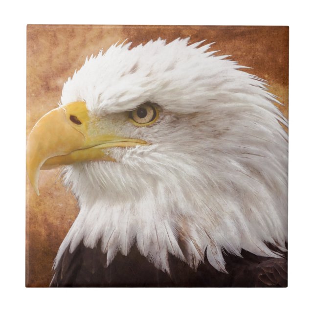 Bald Eagle Portrait Tile (Front)