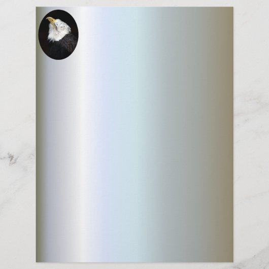 Bald Eagle Portriat (Front)