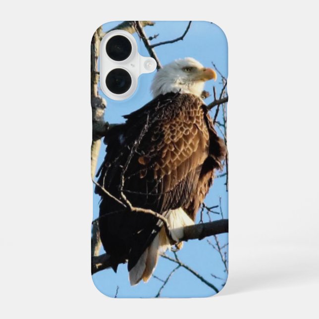 Bald Eagle Pose Iphone Case (Back)