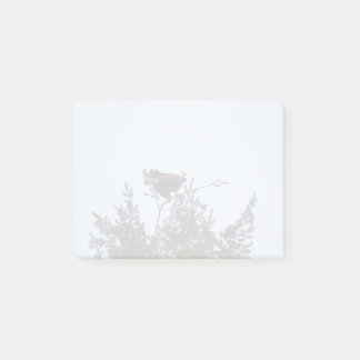 Bald Eagle Post-it Notes