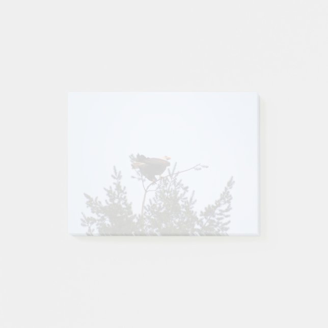Bald Eagle Post-it Notes (Front)
