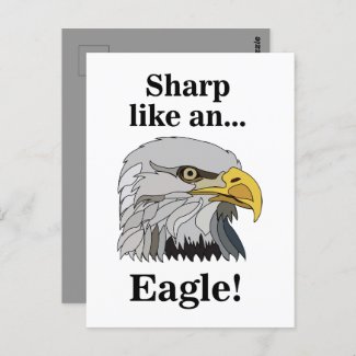 Bald Eagle Postcard