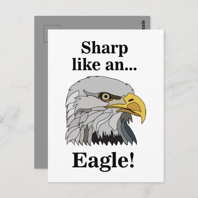 Bald Eagle Postcard (Front/Back)