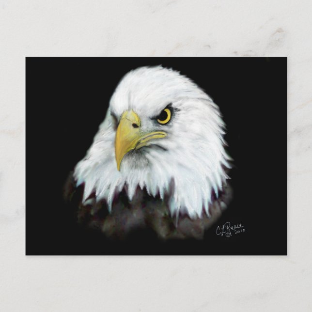 Bald Eagle Postcard 2 (Front)