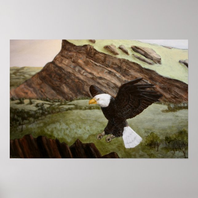 Bald Eagle Poster (Front)