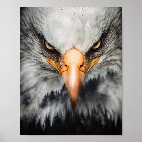 Bald Eagle Poster