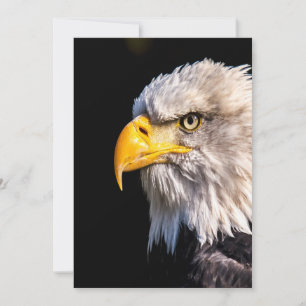 Bald Eagle Profile Blank Note Card