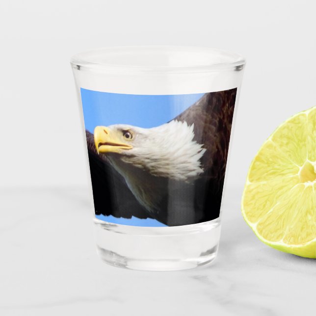 Bald Eagle Profile Shot Glass (Front)