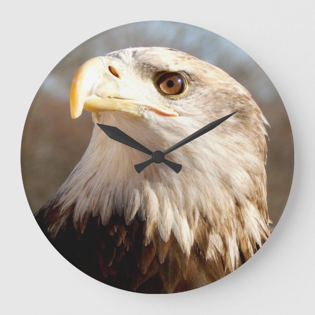 Bald Eagle Proud Profile Large Clock (Front)