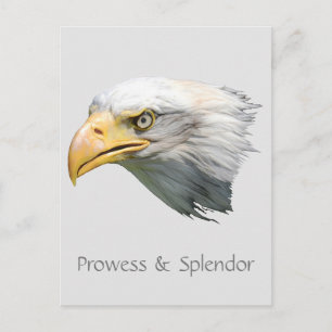 Bald Eagle Prowess & Splendor customizable Postcard