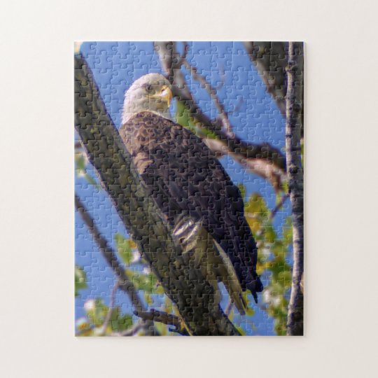 3d pixel puzzle bald eagle