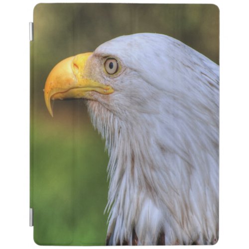 Bald Eagle Raptor Portrait iPad Smart Cover