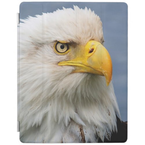 Bald Eagle Raptor Portrait iPad Smart Cover