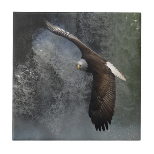 Bald Eagle Raptor Wildlife Waterfall Tile