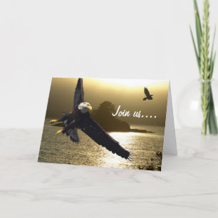 Bald Eagle & Raven Greeting Cards