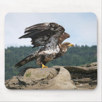 Bald Eagle Ready For Takeoff - mouse pad