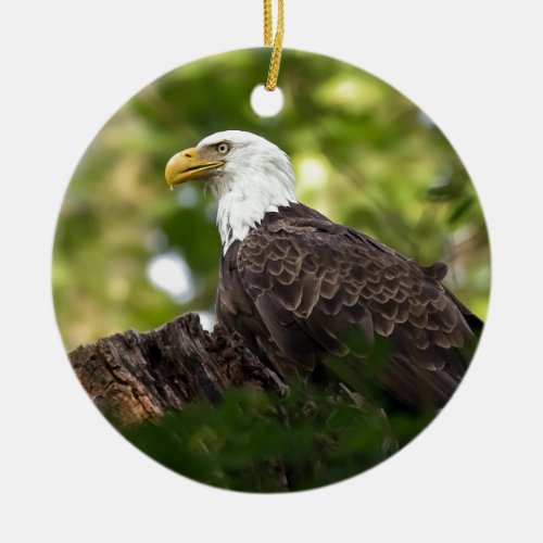 Bald Eagle Rest Stop Ceramic Ornament