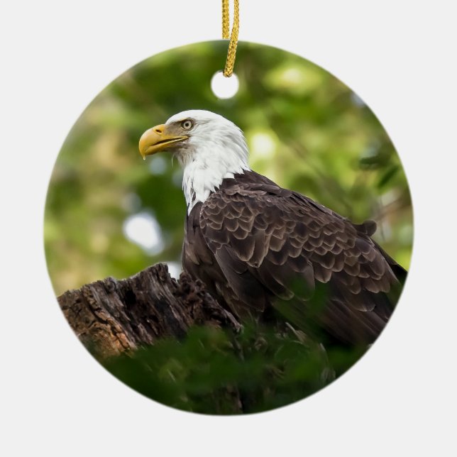 Bald Eagle Rest Stop Ceramic Ornament (Front)