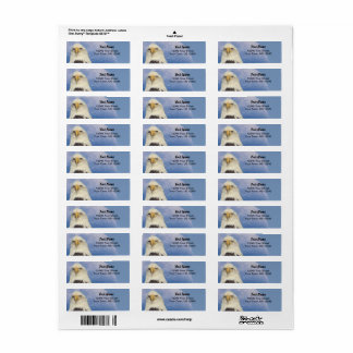 Bald Eagle Return Address Labels