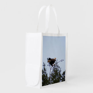 Bald Eagle Reusable Grocery Bag