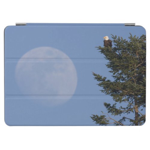 Bald Eagle  Rising Full Moon iPad Air Cover