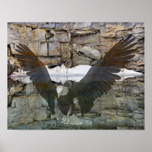 Bald Eagle Rock Wall Reflections In Water Poster