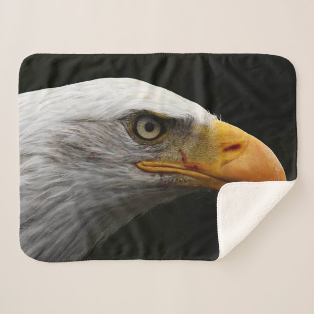 Bald Eagle sbcna Sherpa Blanket (Front (Horizontal))