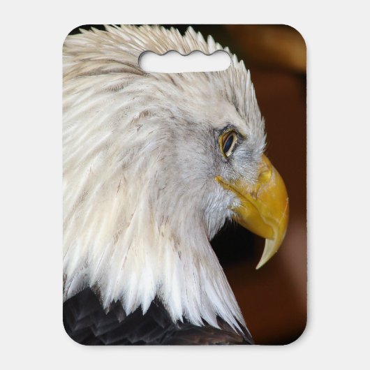 Bald Eagle Seat Cushion (Front Vertical)