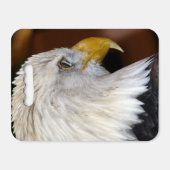 Bald Eagle Seat Cushion (Front Horizontal)