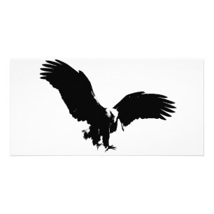 Bald Eagle Silhouette Card