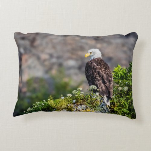 Bald eagle sitting on the rock accent pillow