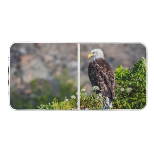 Bald eagle sitting on the rock beer pong table