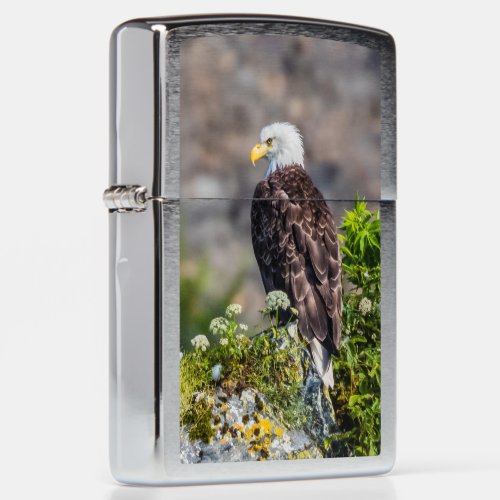 Bald eagle sitting on the rock Zippo Lighter