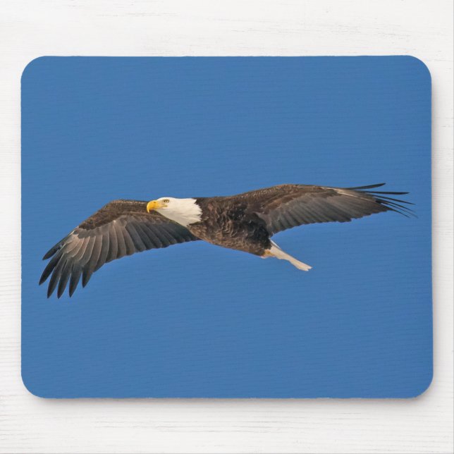 Bald Eagle Sky High Mouse Pad (Front)