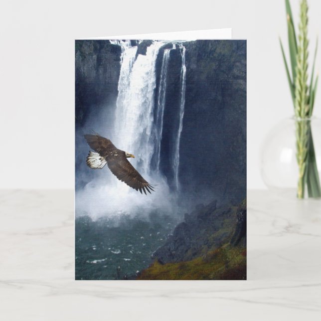 Bald Eagle & Snoqualmie Falls Greeting Cards (Front)