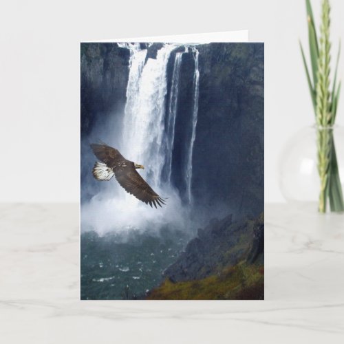 Bald Eagle  Snoqualmie Falls Greeting Cards