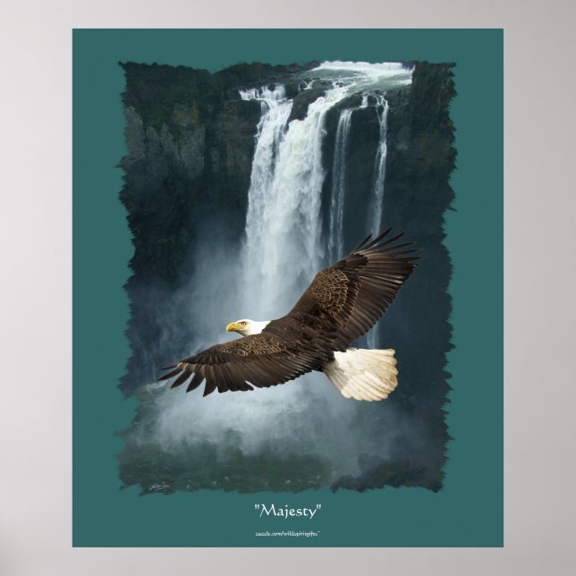 Bald Eagle & Snoqualmie Waterfall Nature-theme Poster (Front)