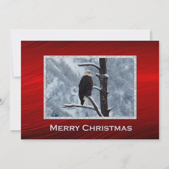 Bald Eagle Snow Tree Photo Christmas Flat Holiday Card (Front)