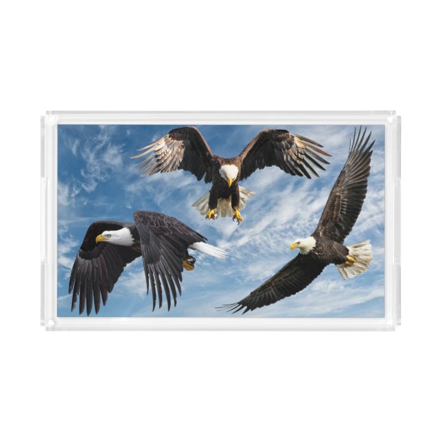 Bald Eagle Soaring Acrylic Tray (Front)