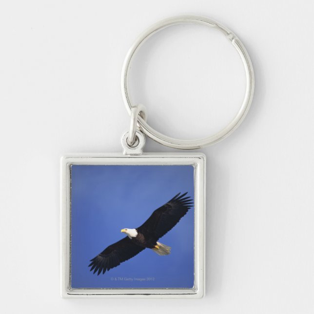 Bald eagle soaring , Alaska Keychain (Front)