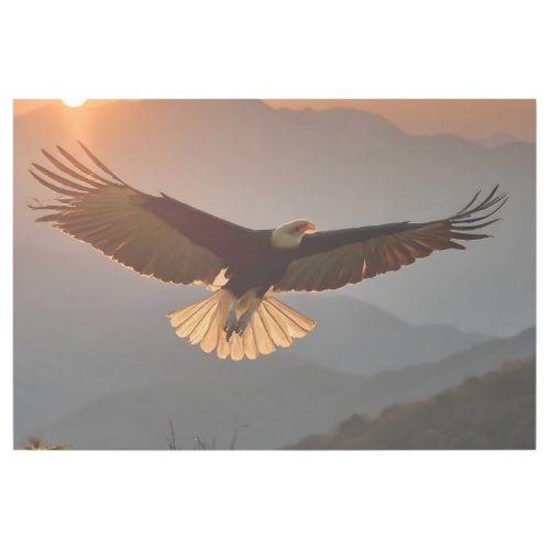 Bald Eagle Soaring at Sunset Gallery Wrap