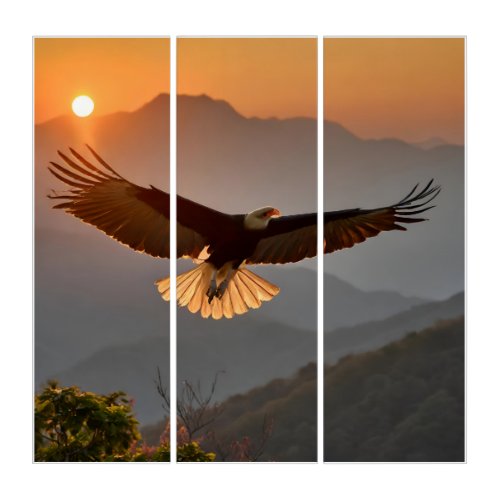 Bald Eagle Soaring at Sunset Triptych