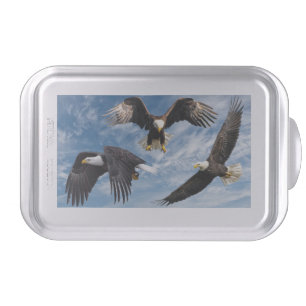 Bald Eagle Soaring Cake Pan