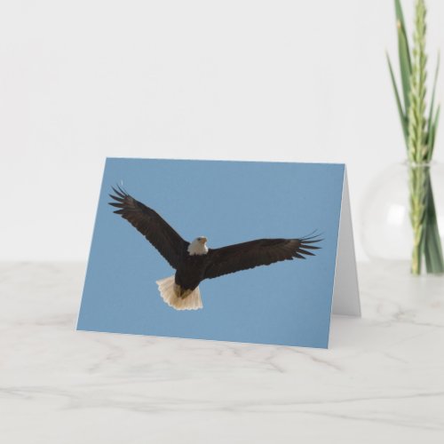 Bald Eagle Soaring_Frameable Art Card