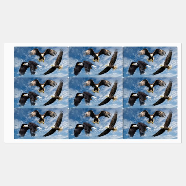 Bald Eagle Soaring Labels (Sheet)