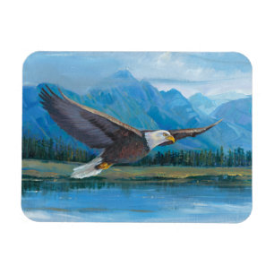 Bald Eagle Soaring Magnet