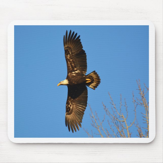 Bald Eagle Soaring Over Trees Mouse Pad (Front)