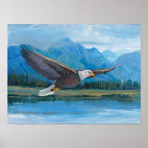 Bald Eagle Soaring Poster