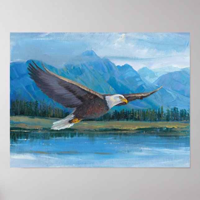Bald Eagle Soaring Poster (Front)